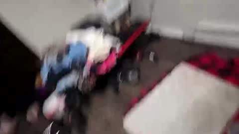 Snapshot of alldickandass11 chatting on 10, 2, 2026 alldickandass11 online show from 10, 2, 2026