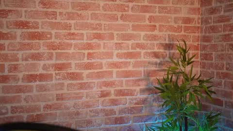 Allie online show from 21, 12, 2024