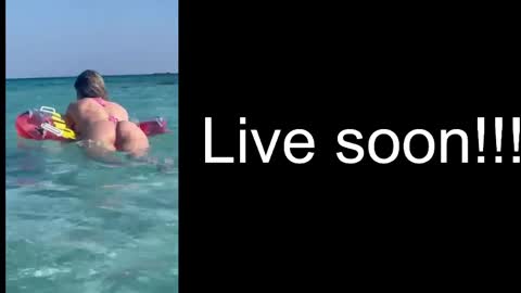 Snapshot of alliesynns chatting on 8, 3, 2026 Allie online show from 8, 3, 2026