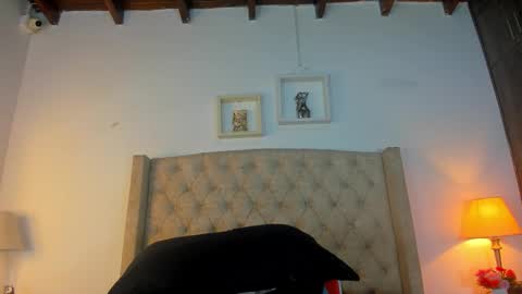 Snapshot of allisson_m chatting on 26, 2, 2026 allisson online show from 26, 2, 2026