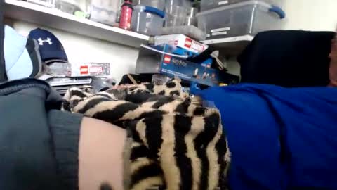 Snapshot of allwolf0323 chatting on 13, 3, 2026 allwolf0323 online show from 13, 3, 2026