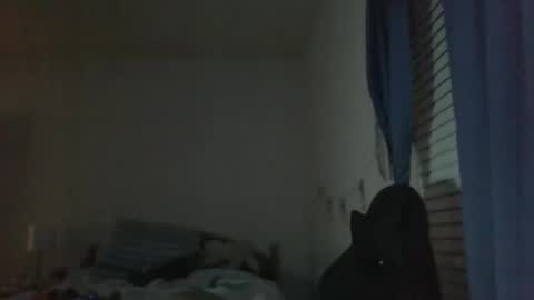 Snapshot of ally12334 chatting on 25, 10, 2025 ally12334 online show from 25, 10, 2025