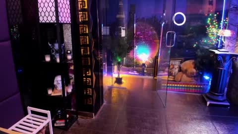 Alma online show from 28, 2, 2026