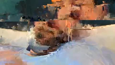 alpachino7777 online show from 19, 2, 2025