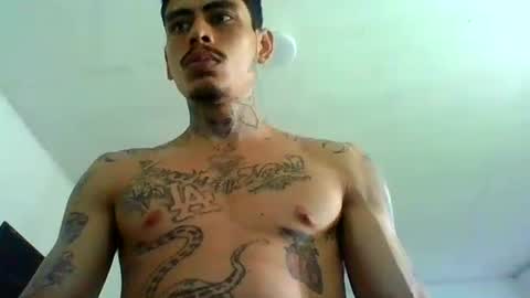 Snapshot of alpha_zom chatting on 23, 4, 2026 Alpha Zom online show from 23, 4, 2026