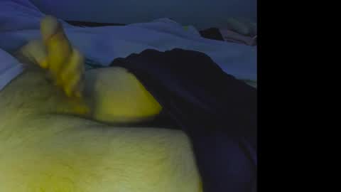 Snapshot of alphablue_wolf1295 chatting on 4, 12, 2024 alphablue_wolf1295 online show from 4, 12, 2024