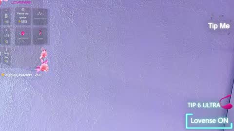 sopie online show from 13, 12, 2024