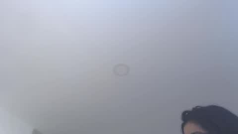 valentia online show from 1, 12, 2025