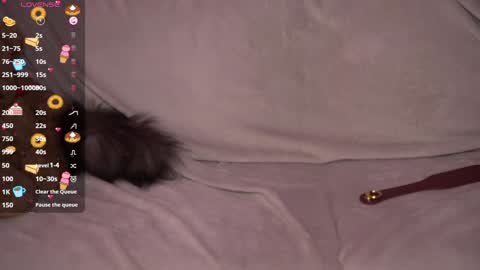 Snapshot of amandaafire chatting on 27, 12, 2024 Amanda online show from 27, 12, 2024