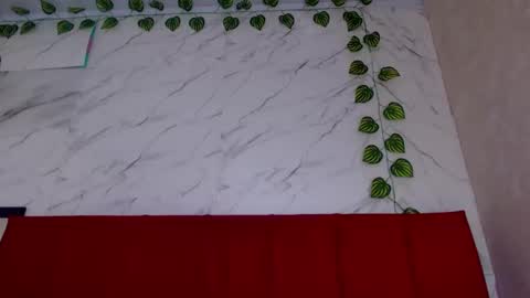 amandacanelacm101 online show from 4, 3, 2026