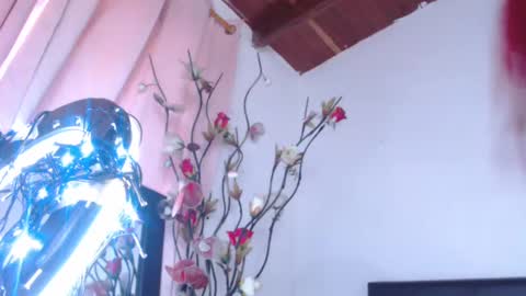   online show from 19, 2, 2025