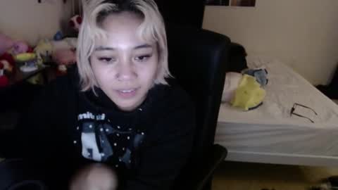 leash online show from 26, 12, 2024