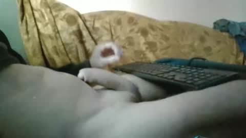 amazingcuteboy845 online show from 29, 9, 2025