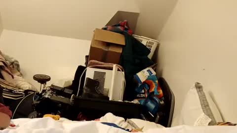 Snapshot of amileamariestar chatting on 16, 12, 2024 amileamariestar online show from 16, 12, 2024