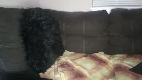 Snapshot of amiri_sweater chatting on 25, 2, 2025 amiri_sweater online show from 25, 2, 2025