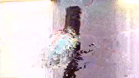 Snapshot of amiri_sweater chatting on 27, 11, 2025 amiri_sweater online show from 27, 11, 2025