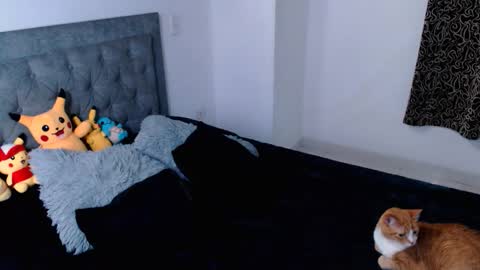 Snapshot of ammanda_ chatting on 16, 4, 2026 diana online show from 16, 4, 2026