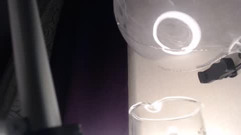 miss unforgettable online show from 13, 2, 2025