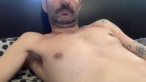 Snapshot of amued_mushroom chatting on 23, 4, 2026 Dan online show from 23, 4, 2026