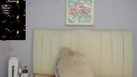 Amy online show from 3, 12, 2025