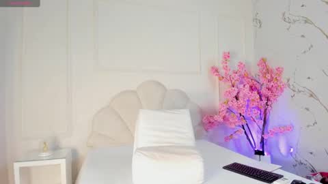 Amykord online show from 6, 10, 2025