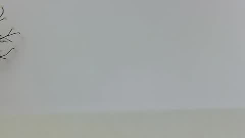 anaid_blaze2 online show from 10, 11, 2025