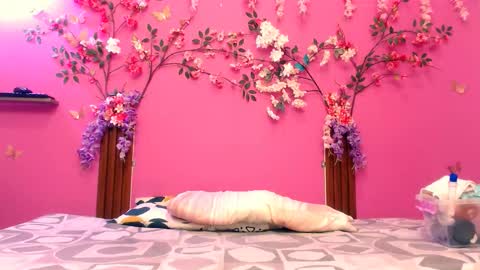 Snapshot of analdeepalejandra18 chatting on 15, 11, 2025 analdee online show from 15, 11, 2025