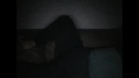 andellus online show from 2, 11, 2025