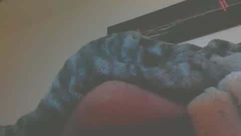 Snapshot of andionline chatting on 5, 3, 2026 andreas online show from 5, 3, 2026