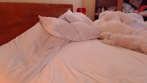 Snapshot of andrasweetie chatting on 9, 3, 2025 Andra online show from 9, 3, 2025