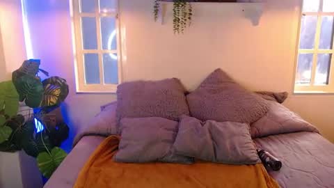 ANDREA  online show from 3, 7, 2026