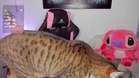 Snapshot of andreag_ chatting on 8, 3, 2026 Andrea online show from 8, 3, 2026