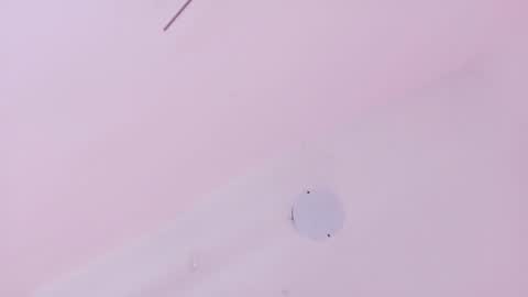 A n d r  e a S w e e t  online show from 21, 3, 2026