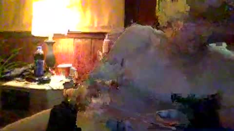Snapshot of andrewraywv42 chatting on 9, 1, 2025 rayray32 online show from 9, 1, 2025