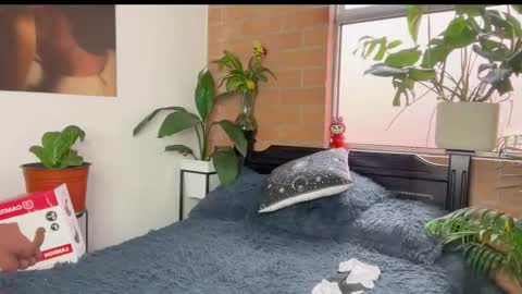 Snapshot of andy_belier chatting on 11, 3, 2026 Andy online show from 11, 3, 2026