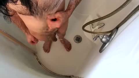 Snapshot of andybadass chatting on 9, 2, 2025 andybadass online show from 9, 2, 2025