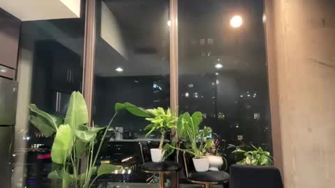 Snapshot of andylynnpayne chatting on 20, 3, 2026 Andylynn Payne online show from 20, 3, 2026