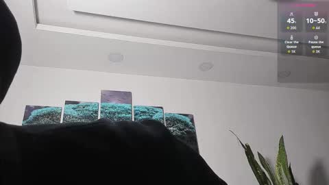 Snapshot of angeel_d035 chatting on 8, 3, 2026 Angel online show from 8, 3, 2026