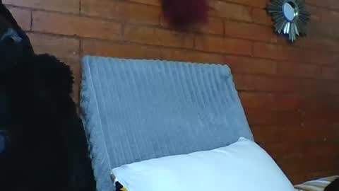 Snapshot of angela_mis chatting on 19, 12, 2025 Angela online show from 19, 12, 2025