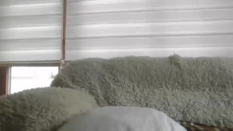 Snapshot of angelps1960 chatting on 24, 2, 2026 angelps1960 online show from 24, 2, 2026