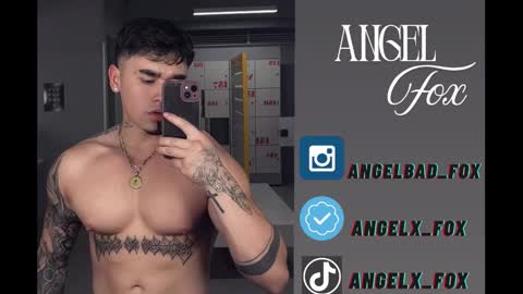 Snapshot of angelx_fox chatting on 9, 9, 2025 Angel Fox online show from 9, 9, 2025