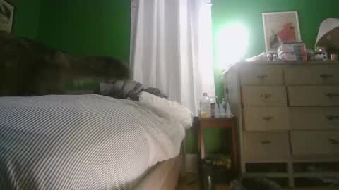 Ani online show from 15, 2, 2026