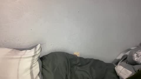 Snapshot of animeboygirls chatting on 19, 1, 2026 Animeboygirls online show from 19, 1, 2026