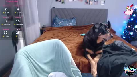 Snapshot of anna_ana chatting on 31, 12, 2024 Anadirectgirl online show from 31, 12, 2024