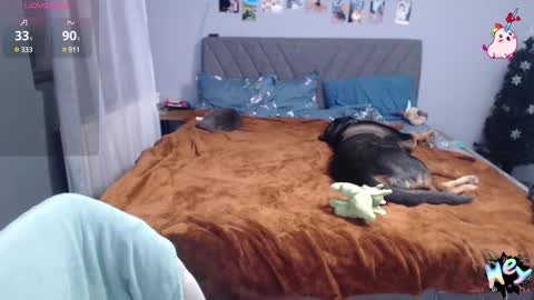 Snapshot of anna_ana chatting on 8, 1, 2025 Anadirectgirl online show from 8, 1, 2025