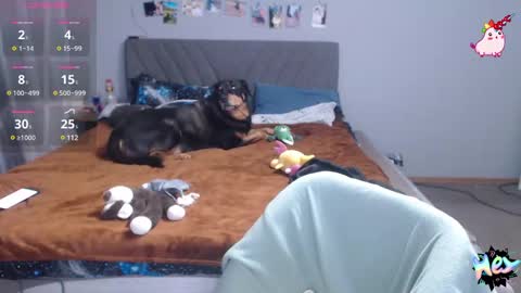 Snapshot of anna_ana chatting on 25, 2, 2025 Anadirectgirl online show from 25, 2, 2025