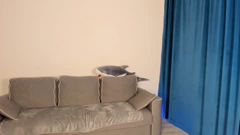 anna miuu online show from 5, 12, 2024