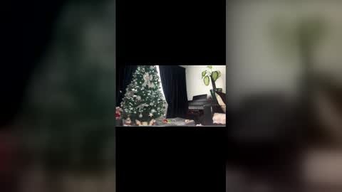 anna_nobel online show from 14, 12, 2025