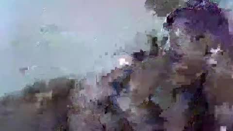 Anne marrie online show from 21, 2, 2026