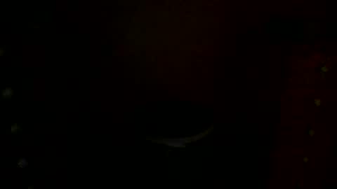 annecharlie online show from 30, 11, 2025